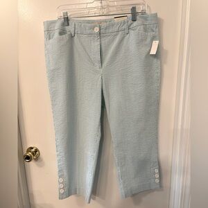Talbots skimmer size 14p - aqua and white pinstripe NWT